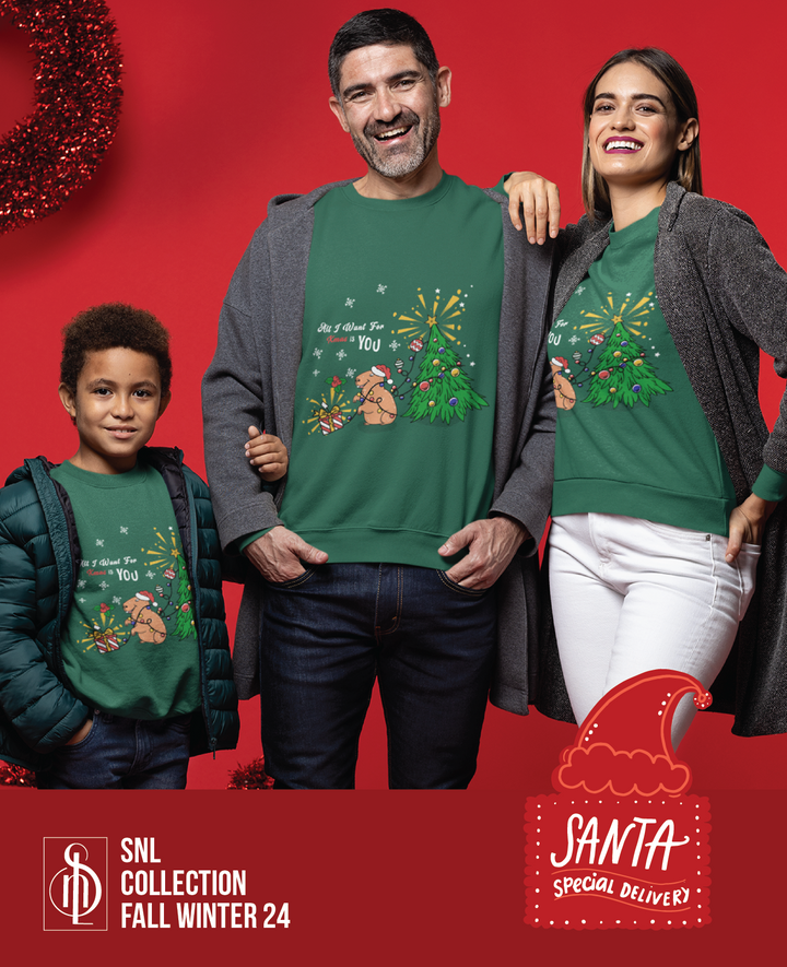 Funny Family Matching Christmas Shirts &amp; Sweaters